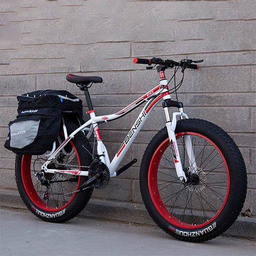 benshi fat tire bike